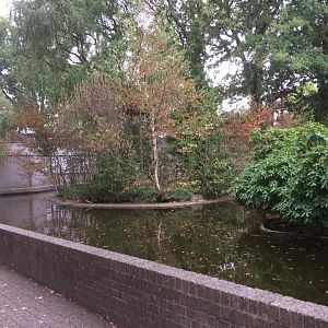 Closed Emmen Zoo in 2018 - Old Gibbon Island