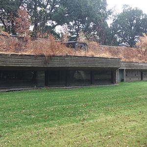 Closed Emmen Zoo in 2018 - Old Panther enclosure