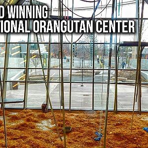 Zoo Tours: The Award Winning International Orangutan Center || Indianapolis Zoo