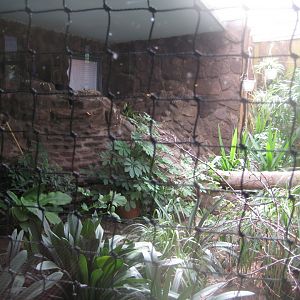 Frydenlund Fuglepark - Rainforest aviary