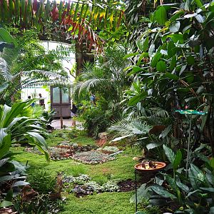 Winter Garden - Butterfly house