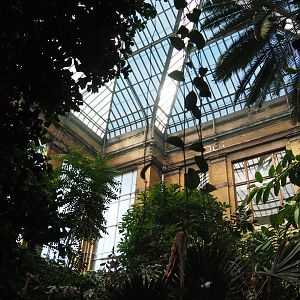 Winter Garden - Butterfly house