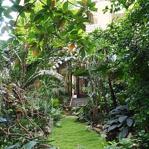 Winter Garden - Butterfly house