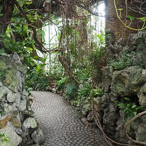 Winter Garden - Butterfly house