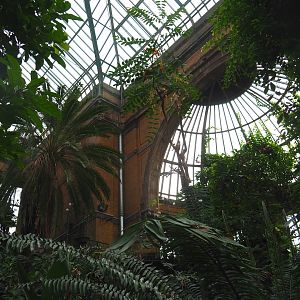 Winter Garden - Butterfly house