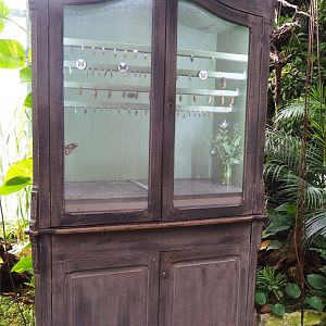 Chrysalis hatching room