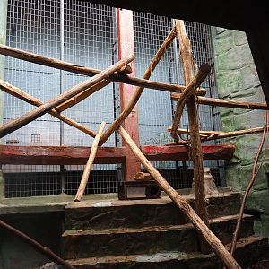 Small Monkey House - Callitrichid/Southern tamandua enclosure
