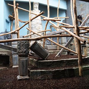 Small Monkey House - Enclosure Javan langurs