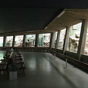 View of visitor area in the Small Monkey House