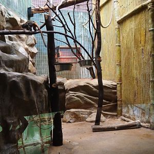 Small Monkey House - Enclosure bearded mperor tamarin  (Saguinus imperator subgrisescens)