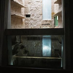 Small monkey house - Monkey holding cages