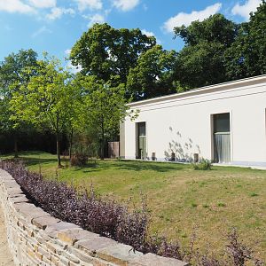 Okapi/Red duiker paddock at the backside of the Moorish Temple