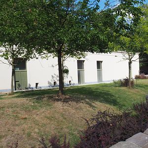 Okapi/Red duiker paddock at the backside of the Moorish Temple