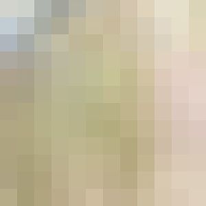 Swamp Wallaby - Black Pademelon