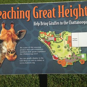 Future Giraffe Expansion