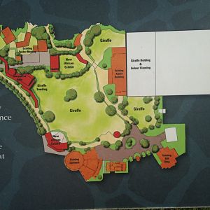 Future Giraffe Expansion