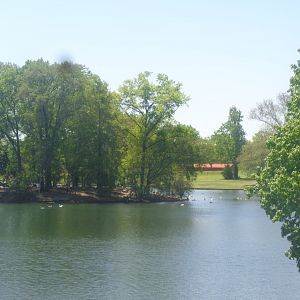 Byrd Park Waterfowl Pond Richmond, VA