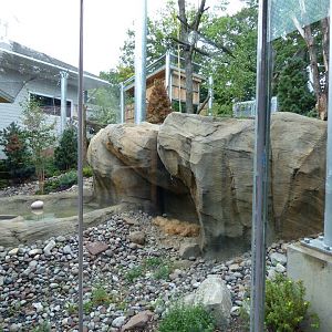 Snow Leopard Exhibit - Lower Level View
