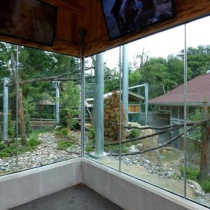 Snow Leopard Exhibit - Upper Level View