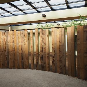 View inside the okapi greenhouse