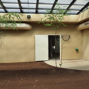 Okapi greenhouse - Indoor exhibit okapi/red duiker