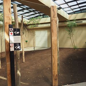 Okapi greenhouse - Indoor exhibit okapi/red duiker