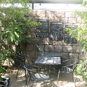 Terrariet Vissenbjerg - The rainforest - General view