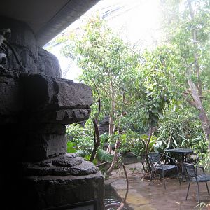 Terrariet Vissenbjerg - The rainforest - General view