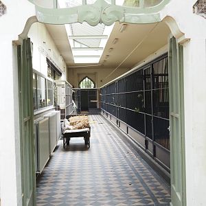 Okapi stables in the Moorish Temple