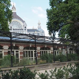 Rotunda Building - Wader bird aviary