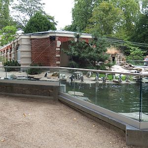 Rotunda Building - Black-footed penguin enclosure