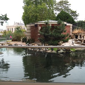 Rotunda Building - Black-footed penguin enclosure and pool