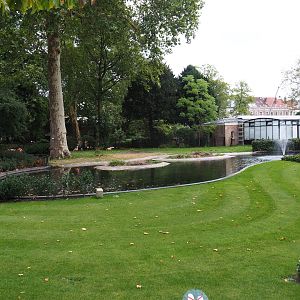 Caribbean flamingo enclosure
