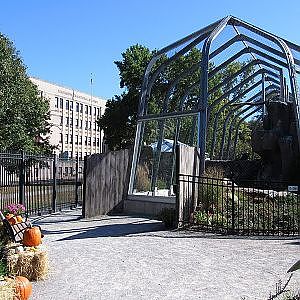 National Aviary Condor Court - YouTube