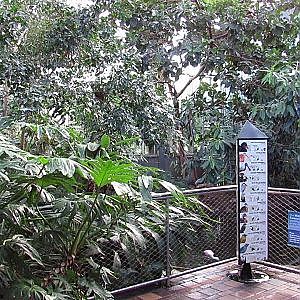 National Aviary Wetlands - YouTube