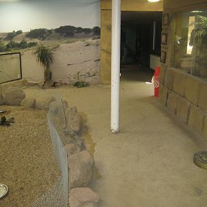 Terrariet Vissenbjerg - The desert - General view