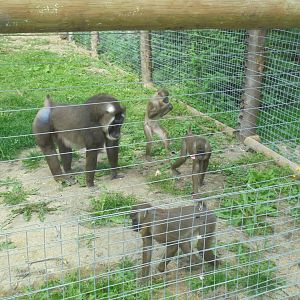 Part of Drill group outdoors.