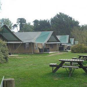 Changing face of Port Lympne.
