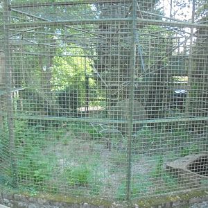 Disused Chimpanzee/Gorilla Tower cage.