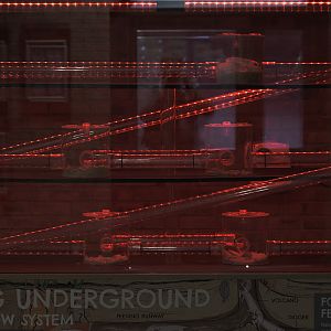 Naked mole rat exhibit