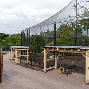 Madagascar Walk-in Exhibits - 07/09/2018