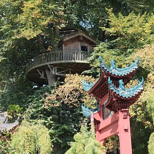 Tree-house in the middle of the park