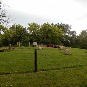 8/11/2018 - American Bison & Pronghorn Habitat