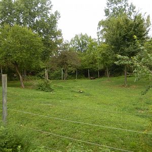 8/11/2018 - Moose Habitat