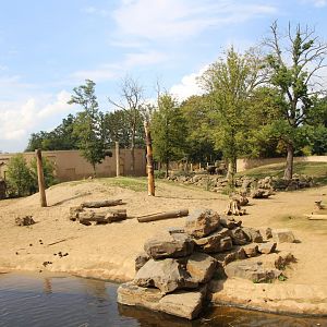 Main elephant enclosure - September 2018