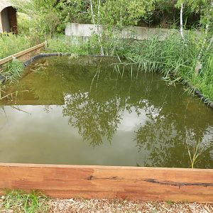 Goldfish pond - Butterfly Gardens of Wisconsin