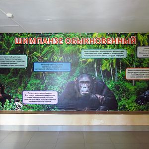 Chimpanzee info board in primate house