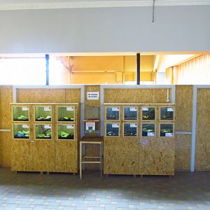 Exotarium - invertebrate exhibits