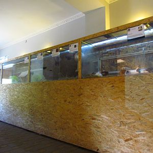 Exotarium - small mammal exhibits