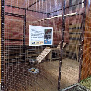 Exotarium, 2nd lowland paca exhibit